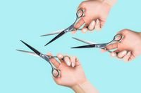 anastasiia-t-8OWQkqHQLlg-unsplash